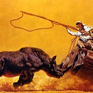 Photo Elsa Martinelli