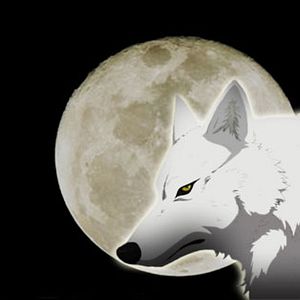 Photo Wolf's Rain