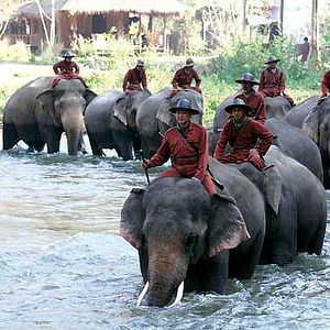 Photo Olivier Horlait