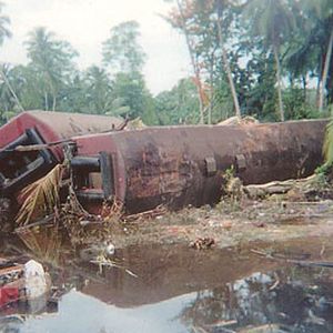 Photo Alison Thompson