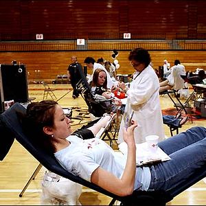 Photo Nanette Burstein