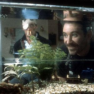 Photo Un Poisson nommé Wanda