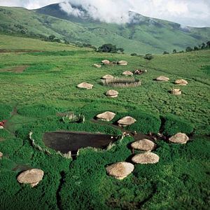 Photo Les Ailes pourpres : le mystère des flamants