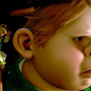 Photo Robert Stevenhagen