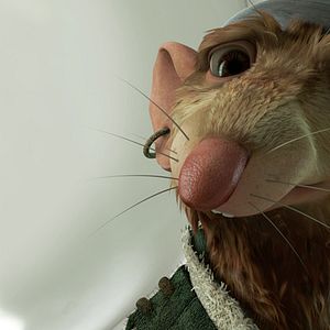 Photo Robert Stevenhagen