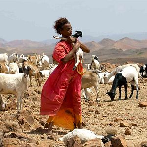 Photo Sherry Hormann