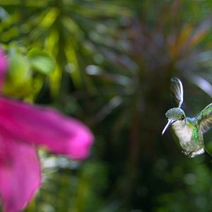 Photo Louie Schwartzberg