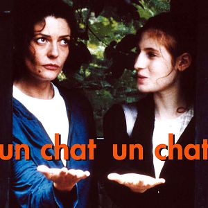 Photo Un Chat Un Chat