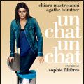 Photo Un Chat Un Chat