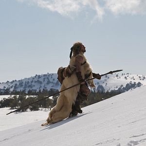 Photo Jacques Malaterre