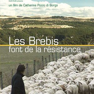 Photo Catherine Pozzo Di Borgo