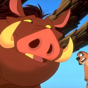 Photo Timon et Pumbaa