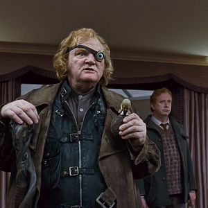 Photo Brendan Gleeson