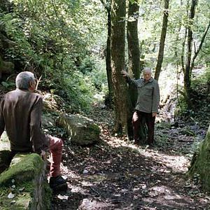 Photo Dario Marconcini