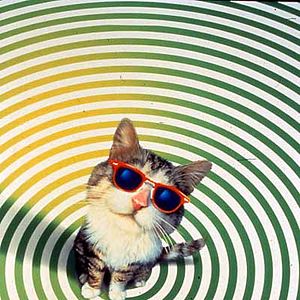Photo Le Nouvel espion aux pattes de velours