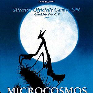 Photo Microcosmos: Le peuple de l'herbe