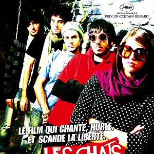 Photo Les Chats persans