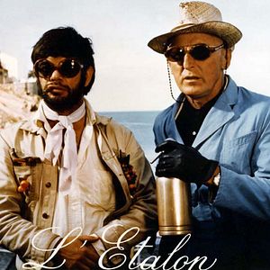 Photo L'Etalon