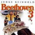 Photo Beethoven 3
