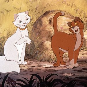 Photo Les Aristochats