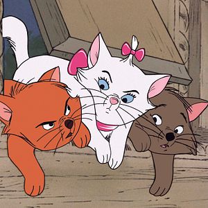 Photo Les Aristochats