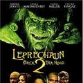 Photo Leprechaun 6 : Le retour