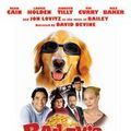 Photo Oscar - le chien qui vaut des milliards