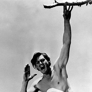Photo Tarzan trouve un fils