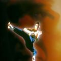 Photo Kickboxer 4