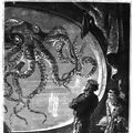 Photo 20000 lieues sous les mers