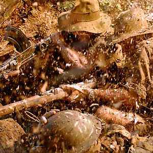 Photo Alister Grierson