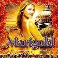Photo Marigold