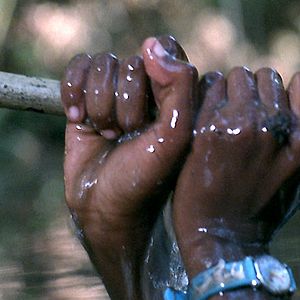 Photo Philippe Van Leeuw