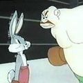 Photo Rabbit Punch