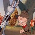 Photo The Hare-Brained Hypnotist