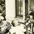 Photo Le Repas de bébé