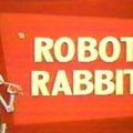Photo Robot Rabbit
