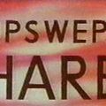 Photo Upswept Hare