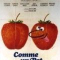 Photo Comme un pot de fraises