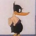 Photo The Wise Quacking Duck