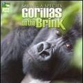 Photo Saving a Species : Gorillas on the Brink