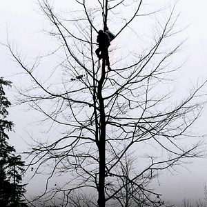 Photo Andrew Kötting