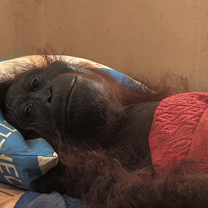 Photo Patrick Rouxel