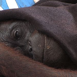 Photo Patrick Rouxel