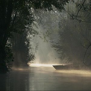 Photo Alexandre Messina