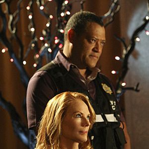 Photo Marg Helgenberger