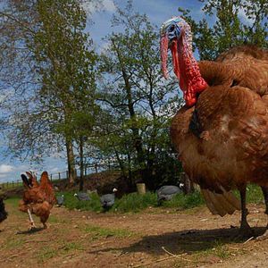 Photo Frédéric Goupil