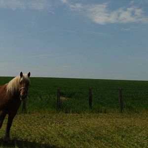 Photo Frédéric Goupil