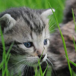 Photo Frédéric Goupil