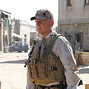 Photo Mark Harmon